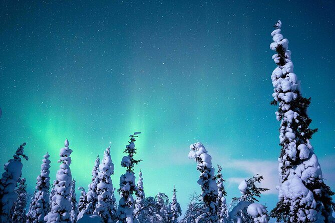 Northern Lights Hunting Photography Tour in Levi - FAQ