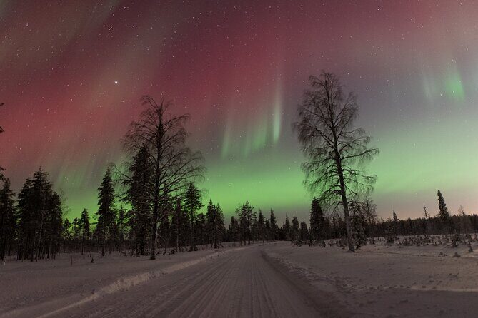 Northern Lights Hunting with a photographer (Only small groups) - An In-Depth Look at Northern Lights Hunting with a Photographer