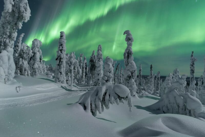 Northern Lights Hunting with Aurora Workshop - An Authentic Arctic Night Out in Lapland