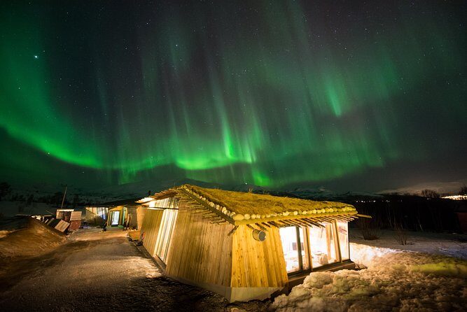 Northern Lights Husky Visit - Exploring the Northern Lights Husky Visit: An In-Depth Review