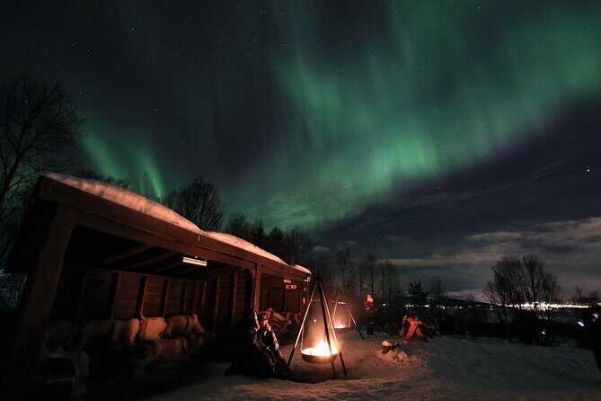 Northern Lights Husky Visit - Who Is This Tour Best For?