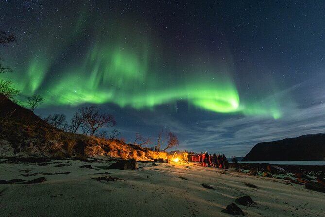 Northern Lights in Focus Tour by Minibus, German/ English, Meal - Discover the Northern Lights in Tromsø with the "Northern Lights in Focus" Tour
