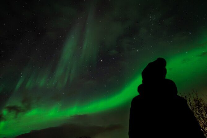 Northern Lights in Focus Tour by Minibus, German/ English, Meal - Key Points
