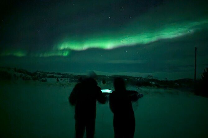 Northern Lights Minibus Chase Max 16 Person In Group - Northern Lights Minibus Chase: An Up-Close and Personal Adventure from Alta