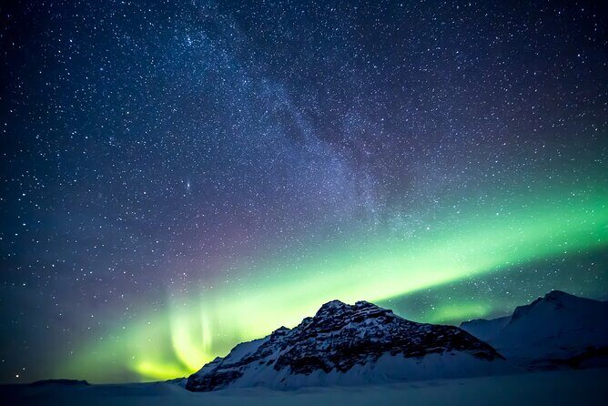 Northern Lights Minibus Tour with Free Photos & Hot Chocolate - Key Points