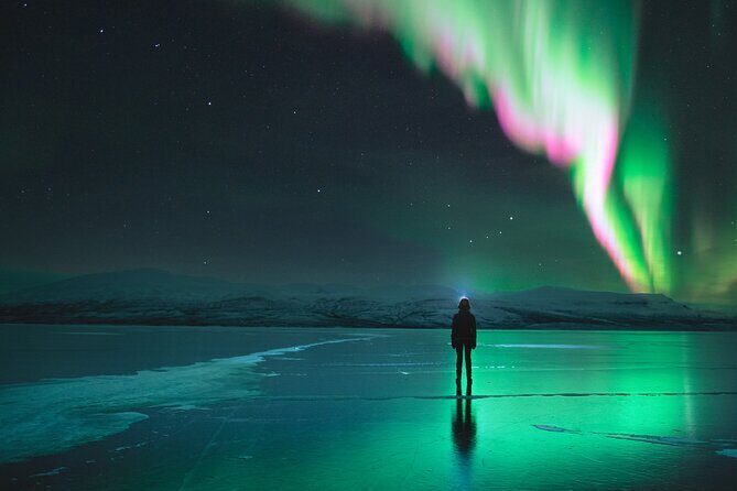 Northern Lights Photo Expedition Dinner Included from Abisko - Discover the Northern Lights Photo Expedition from Abisko