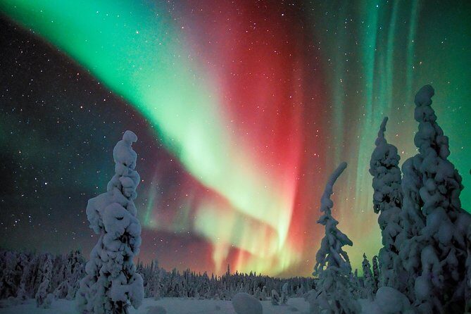 Northern Lights Photography Tour from Rovaniemi - An In-Depth Look at the Tour Experience