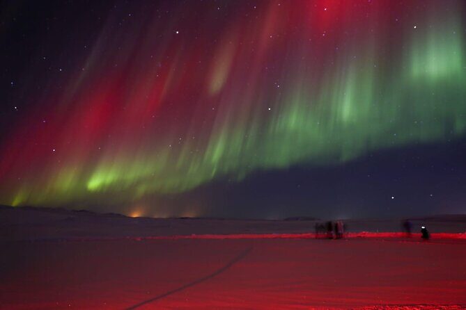 Northern Lights Private Tour from Reykjavik - Final Thoughts — Is This Tour Right for You?