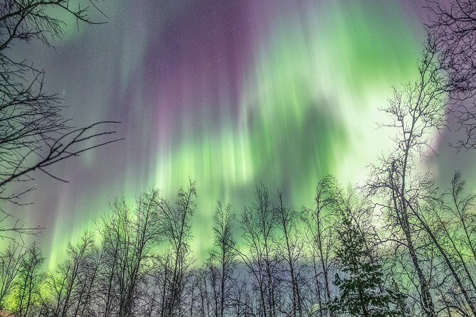 Northern Lights Private tour with your special ones - Greenlander - Authentic Experiences and Genuine Value