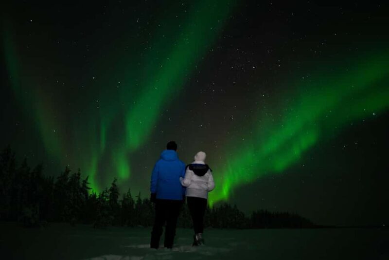 Northern Lights Reindeer Sledge Ride - A Deep Dive Into the Experience