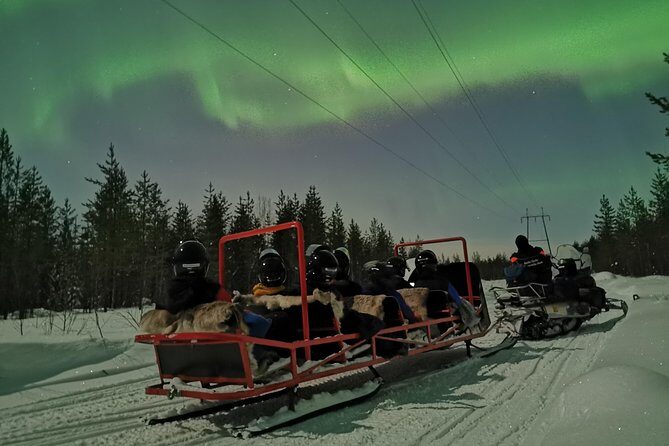 Northern Lights Sledge Ride - A Detailed Look at the Northern Lights Sledge Ride