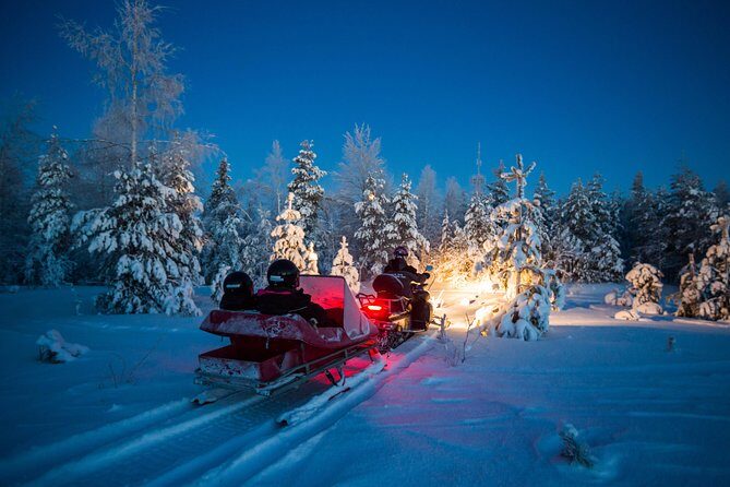 Northern Lights Sledge Ride - Authentic Experiences and Real-Life Reviews