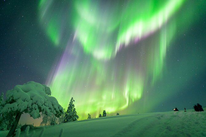 Northern Lights Snowmobile Driving Safari - Final Thoughts: Who Will Enjoy This Tour?
