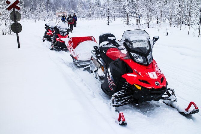 Northern Lights Snowmobile Sleigh Ride - An In-Depth Look at the Northern Lights Snowmobile Sleigh Ride