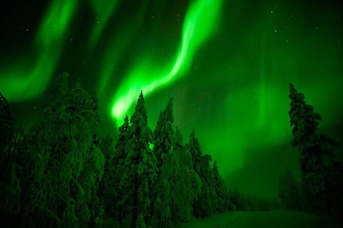 Northern Lights Snowmobile Tour - Key Points