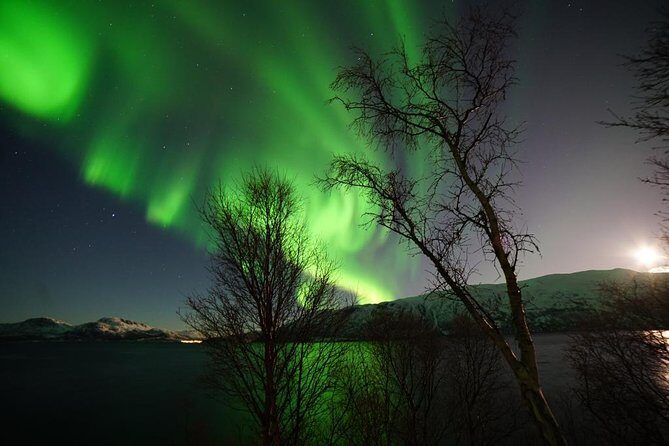 Northern lights - TeslaX Ecofriendly Car - Who Would Love This Tour?