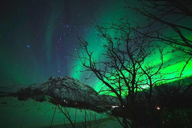 Northern lights - TeslaX Ecofriendly Car - Final Thoughts
