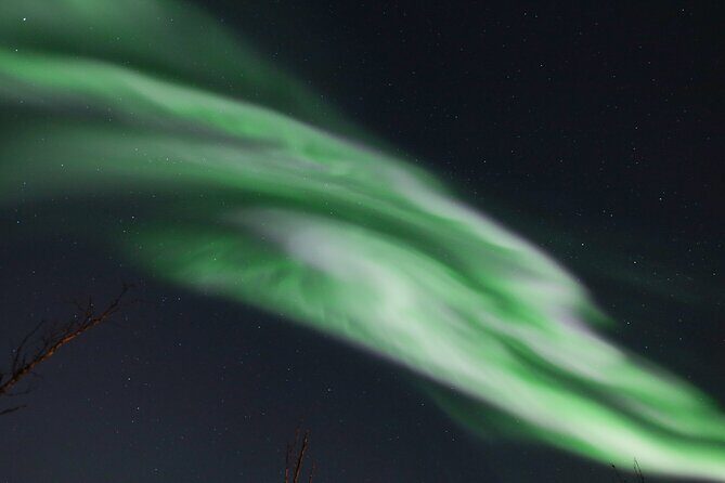 Northern Lights Tour & Arctic Experience - more than just a chase - Who Should Book This Tour?