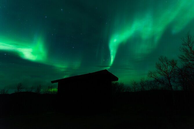 Northern Lights Tour from Kiruna to Abisko with Dinner - Frequently Asked Questions (FAQs)