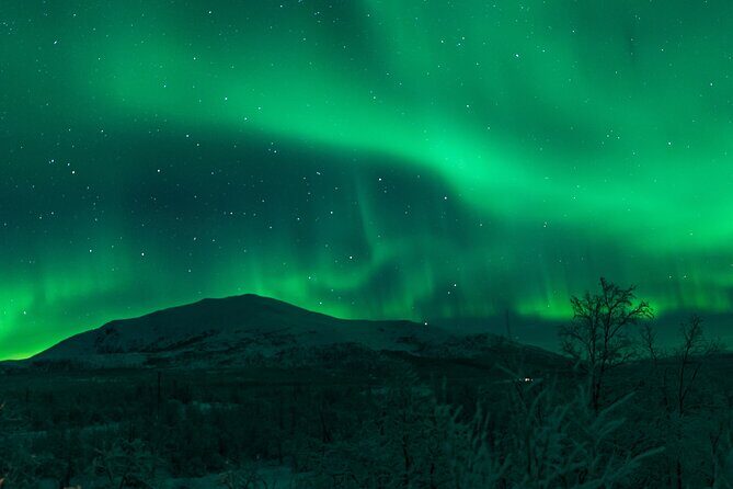 Northern Lights Tour from Kiruna to Abisko with Dinner - In The Sum Up
