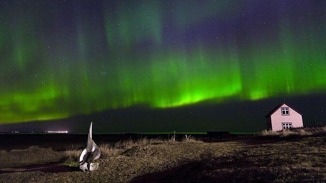 Northern Lights Tour from Reykjavik with Lifetime Guarantee - Key Points