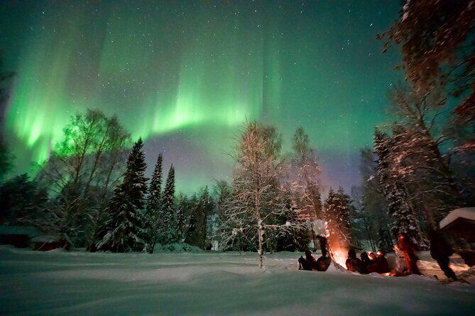 Northern Lights Tour in Atmospheric Cottage - The Experience: What to Expect on the Northern Lights Tour in Rovaniemi