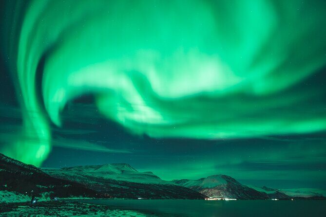 Northern Lights Tour in Tromso - In The Sum Up