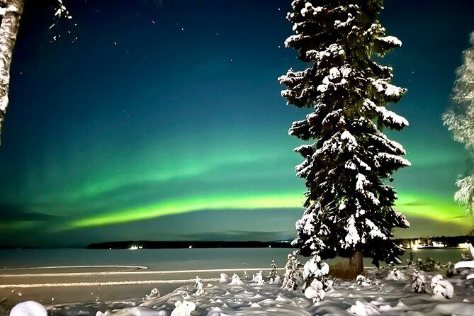 Northern Lights Tour Snowmobile Driving - The Experience in Detail: Snowmobiling and Aurora Hunting in Finland