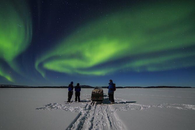 Northern lights tour to Lake Inari from Ivalo, Reindeers & Dinner - A Deep Dive into the Northern Lights Tour to Lake Inari