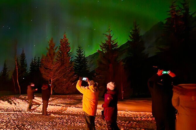 Northern Lights Tour, Tromso, Local Guide, Private Basecamp - Who Should Consider This Tour?