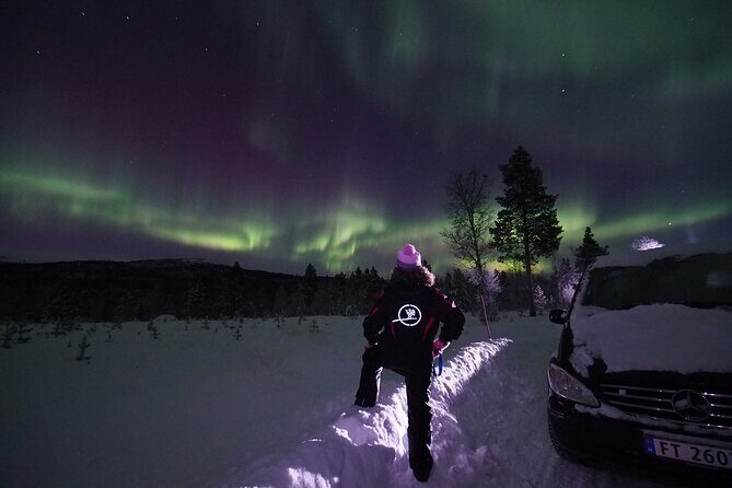 Northern Lights tour with Alta Adventure - Who Should Consider This Tour?
