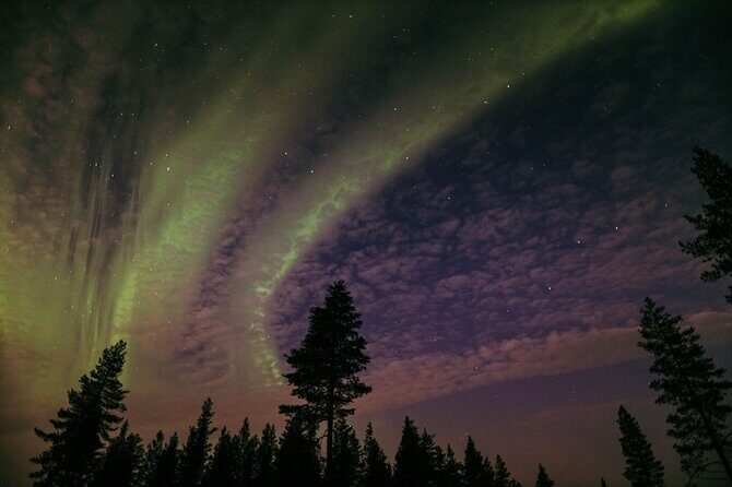 Northern Lights Tour with BBQ and drinks - The Details of the Northern Lights Tour from Rovaniemi