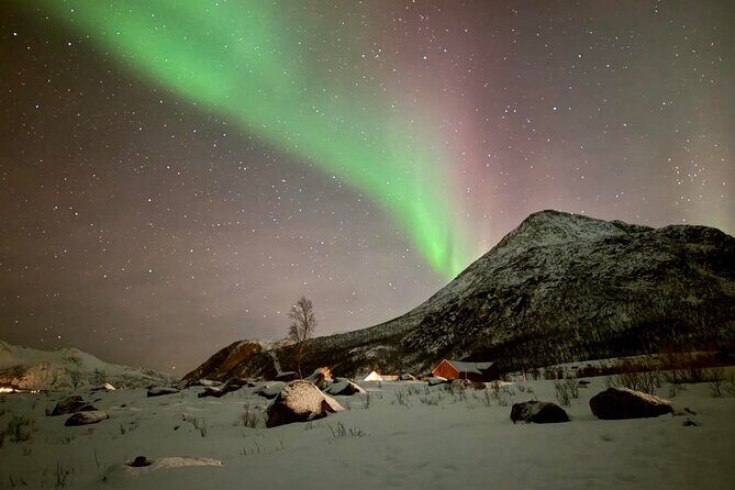 Northern Lights Tour with Hot Food and Drinks in Tromso - Exploring the Tromso Northern Lights Tour in Detail
