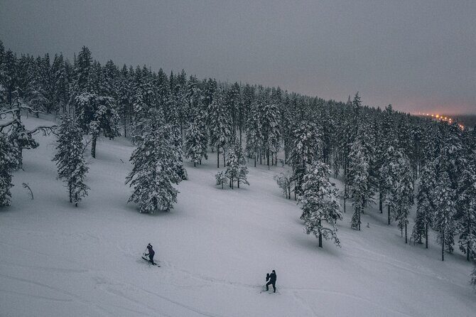 Northern Lights Tour With Skis Or Snowshoes in Pyhä - Final Thoughts