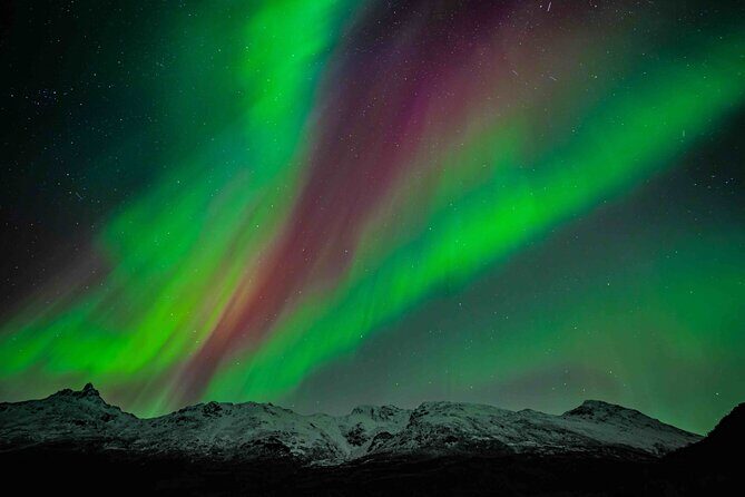 Northern Lights Tour with small group of 8 people - Northern Lights Tour with Small Group of 8 People: An In-Depth Look