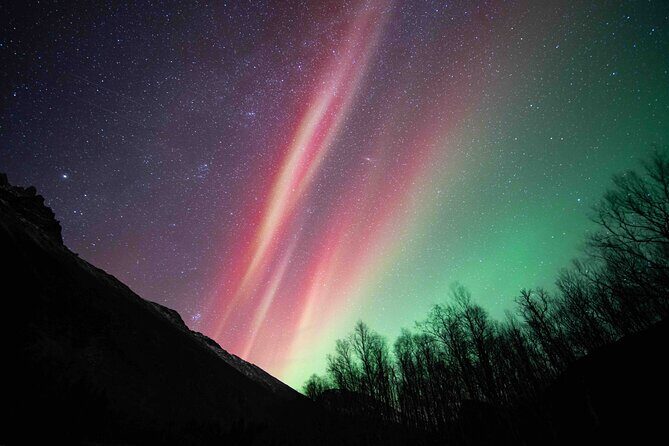 Northern Lights Tour with small group of 8 people - Why You’ll Love This Tour