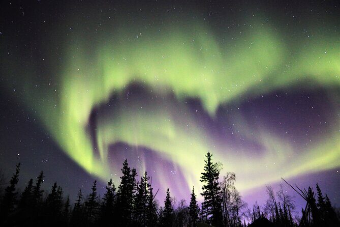 Northern Lights Tour Yellowknife - Final Thoughts: Who Should Sign Up?