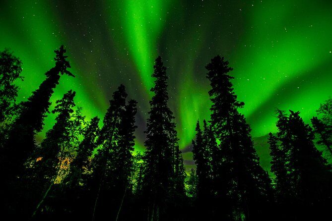 Northern Lights Tours - Frequently Asked Questions