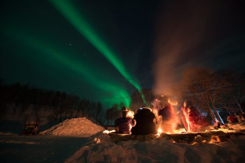 Northern lights Tromsø - small group tour with local guide - The Value of This Tour
