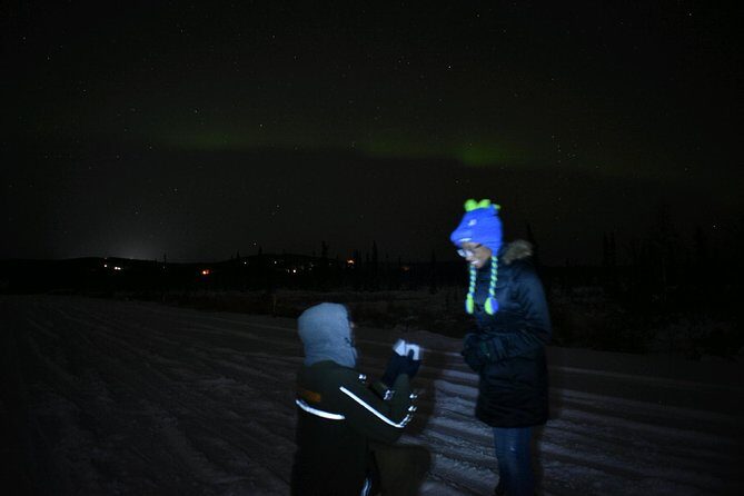 Northern Lights Viewing at Murphy Dome - Authentic Insights from Travelers