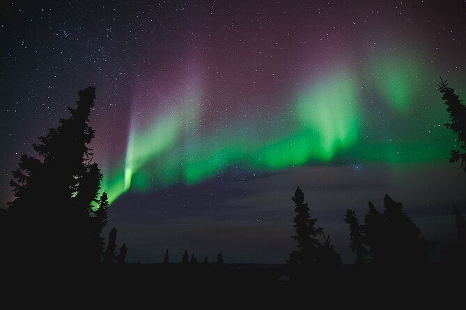 Northern Lights Viewing at Murphy Dome - Final Thoughts: Is This Tour Right for You?