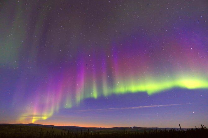 Northern Lights Viewing including Dinner and 1-Hour Dog Sledding - In-Depth Review of the Tour Experience