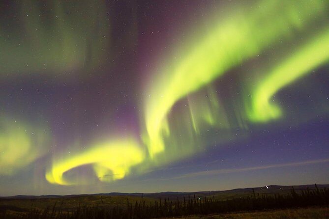 Northern Lights Viewing including Dinner and 1-Hour Dog Sledding - FAQ