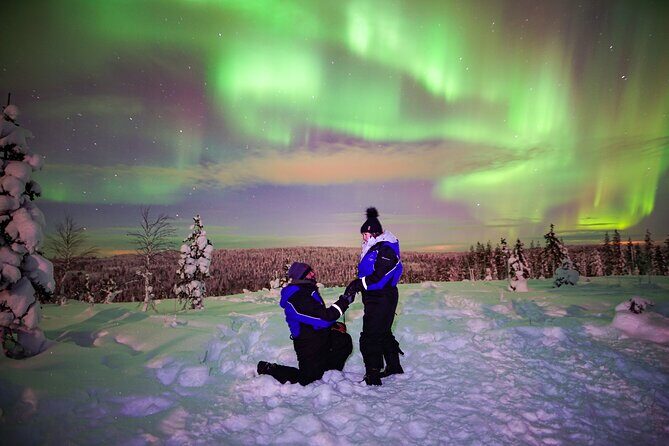 Northern Lights Wilderness Small-Group Tour from Rovaniemi - Key Points