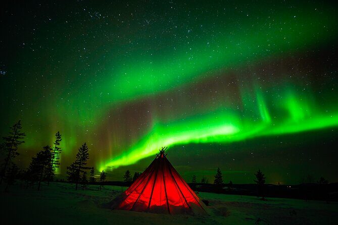Northern Lights Wilderness Small-Group Tour from Rovaniemi - FAQ