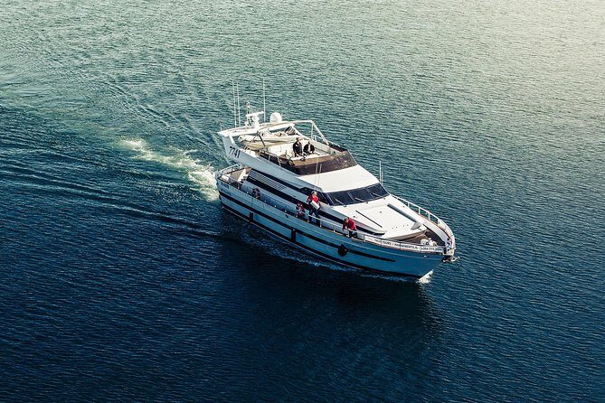Northern Lights Yacht Cruise - The Sum Up: The Perfect Fit for Certain Travelers