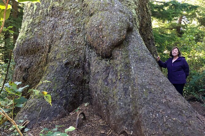 Northern Oregon Coast Day Trip to Three Capes Scenic Loop - Potential Drawbacks to Consider