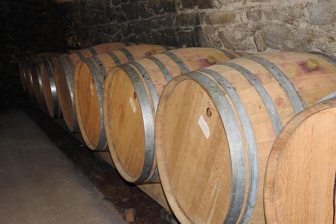 Northern Rhône Valley From Lyon Full day - The Experience in Detail