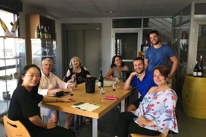Northern Rhône Valley Wine tour from Lyon Half Day - Who Will Love This Tour?