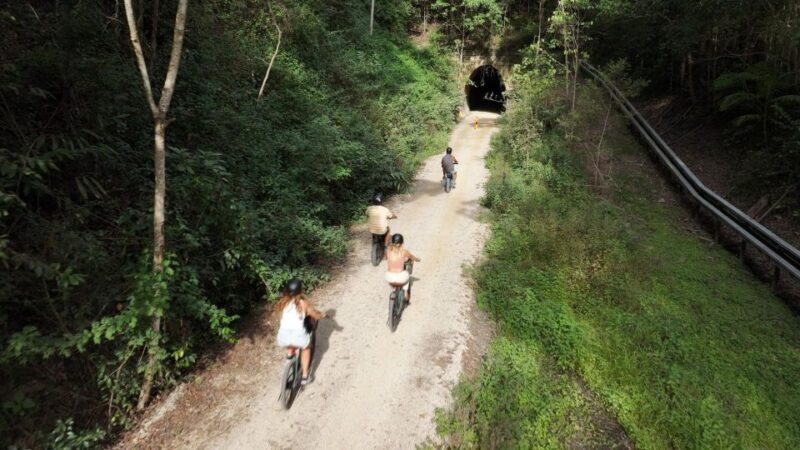 Northern Rivers Rail Trail E-Bike Hire w Shuttle from Byron - A Closer Look at the Northern Rivers Rail Trail E-Bike Tour